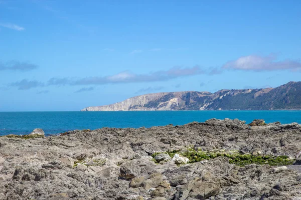 Increíble vista del paisaje marino cerca de Kaikoura, Nueva Zelanda — Foto de Stock