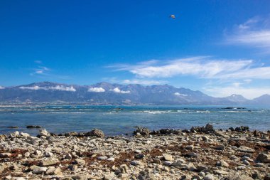 Kaikoura yakınlarındaki muhteşem deniz manzarası görünümü, Yeni Zelanda