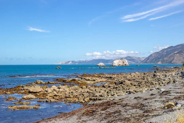 Vue imprenable sur le paysage marin près de Kaikoura, Nouvelle-Zélande — Photo