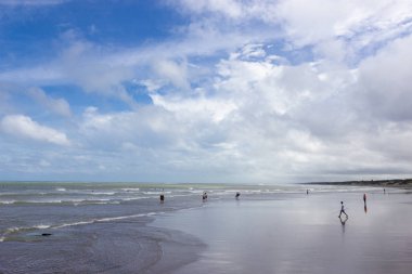 Muriwai Regional Park'ın panoramik manzarası, Yeni Zelanda
