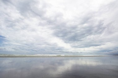 Muriwai Regional Park'ın panoramik manzarası, Yeni Zelanda
