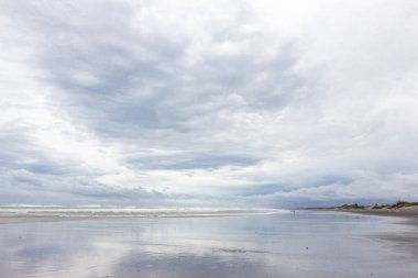 Muriwai Regional Park'ın panoramik manzarası, Yeni Zelanda
