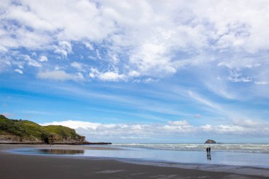 Muriwai Regional Park'ın panoramik manzarası, Yeni Zelanda