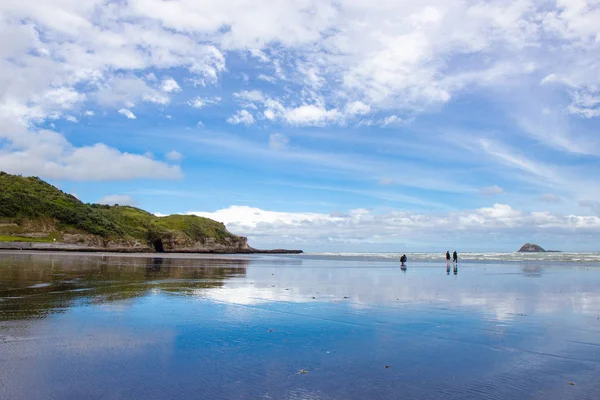 Muriwai Regional Park'ın panoramik manzarası, Yeni Zelanda