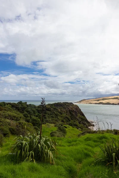 Utsikt från Viewpoint nära Opononi, Nya Zeeland — Stockfoto