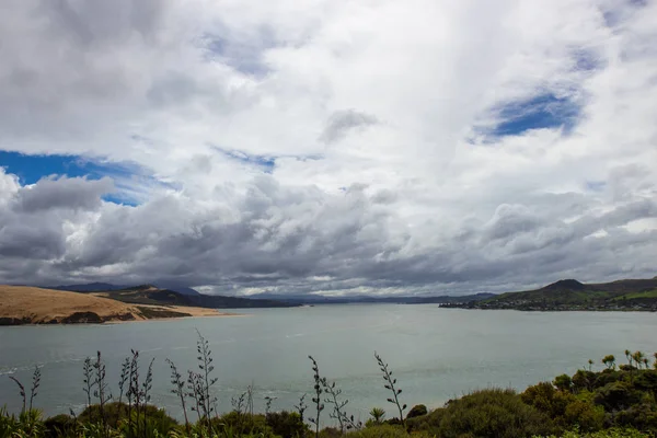 Blick von einem Aussichtspunkt bei Opononi, Neuseeland — Stockfoto