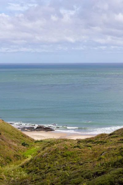 Widok z punktu widokowego w pobliżu Opononi, Nowa Zelandia — Zdjęcie stockowe