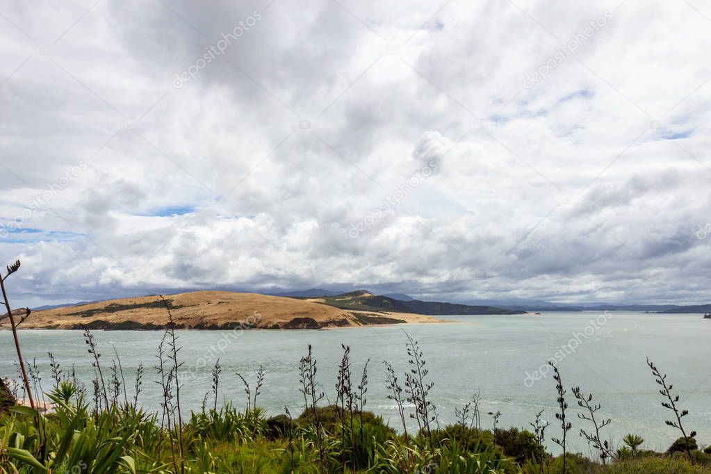 view from viewpoint near Opononi, New Zealand