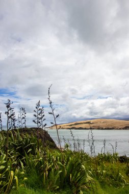 Opononi yakınlarındaki bakış açısından görünüm, Yeni Zelanda