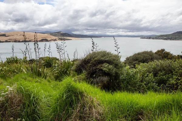 Widok z punktu widokowego w pobliżu Opononi, Nowa Zelandia — Zdjęcie stockowe