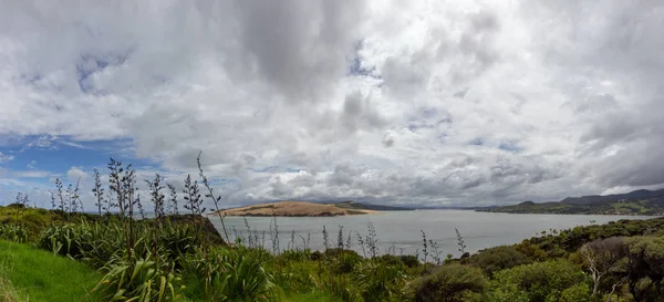 Vista dal punto di vista vicino a Opononi, Nuova Zelanda — Foto Stock