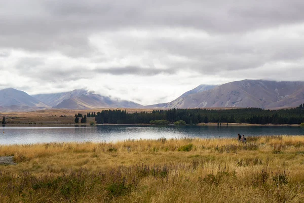 Deštivý den nedaleko jezera Tekapo, Nový Zéland — Stock fotografie