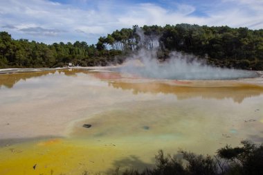 Champagne Pool aktif bir jeotermal alan, Yeni Zelanda