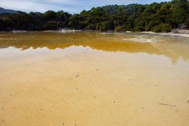 Champagne Pool aktif bir jeotermal alan, Yeni Zelanda