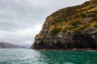 Akaroa limanında bulutlu bir gün, Yeni Zelanda