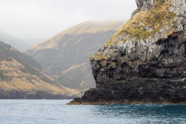 Akaroa limanında bulutlu bir gün, Yeni Zelanda