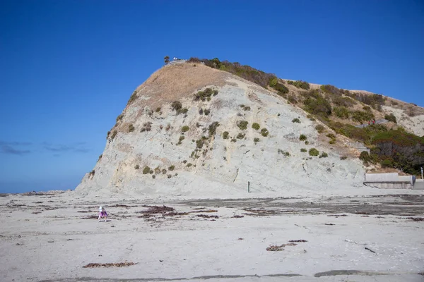 White Cliff View op Kaikoura Peninsula Walkway, nieuwe Zeland — Stockfoto