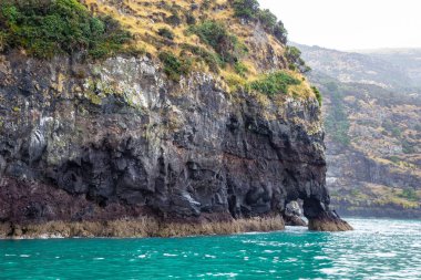 Akaroa limanında bulutlu bir gün, Yeni Zelanda