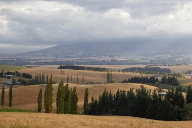 Canterbury bölgesinde doğal yol, Yeni Zelanda