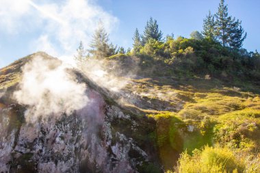 Wairakei Termal Vadisi manzaralı, Yeni Zelanda