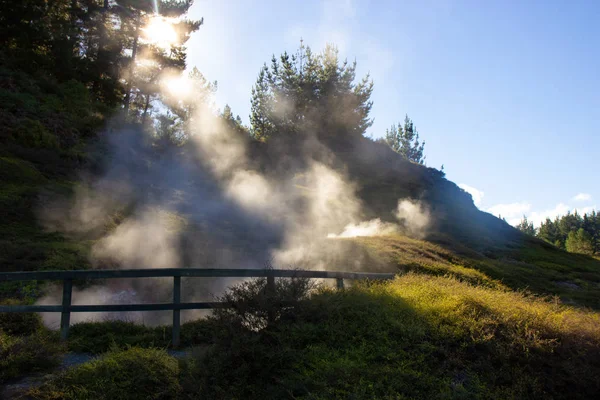 Мальовнича долина Ваіракей, Нова Зеландія — стокове фото