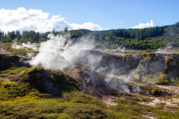 Naturskön utsikt över Wairakei Thermal Valley, Nya Zeeland — Stockfoto