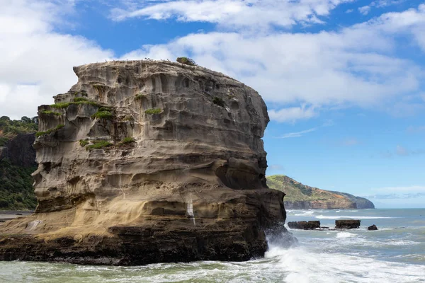 Kilátás Muriwai strand, északi sziget, Új-Zéland — Stock Fotó