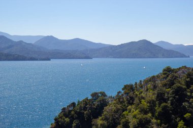 Yeni Zelanda 'nın Marlborough bölgesinde deniz manzarası