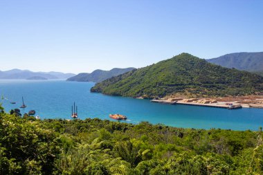 Yeni Zelanda 'nın Marlborough bölgesinde deniz manzarası