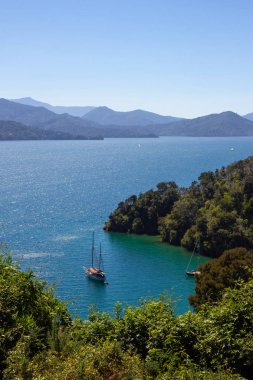 Yeni Zelanda 'nın Marlborough bölgesinde deniz manzarası