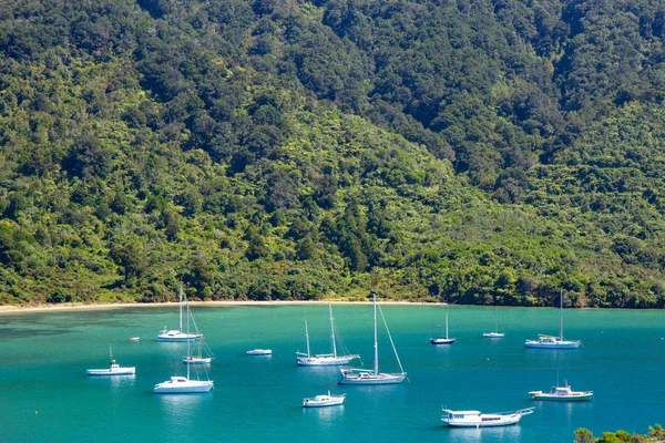 Zeegezicht in Marlborough regio van Nieuw-Zeeland — Stockfoto