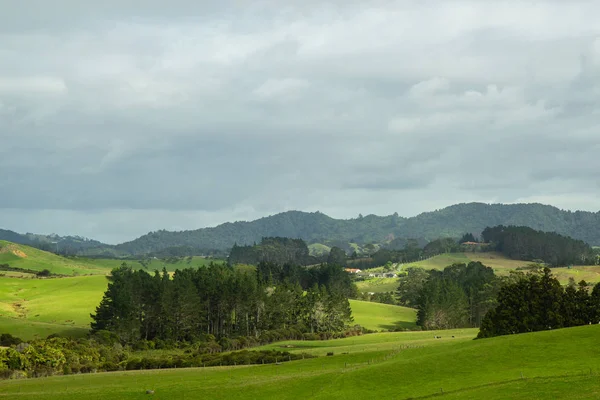 Зелені пагорби Північного острова Нової Зеландії — стокове фото