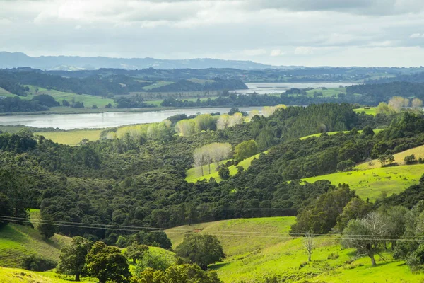 Colinas verdes da ilha do Norte da Nova Zelândia — Fotografia de Stock