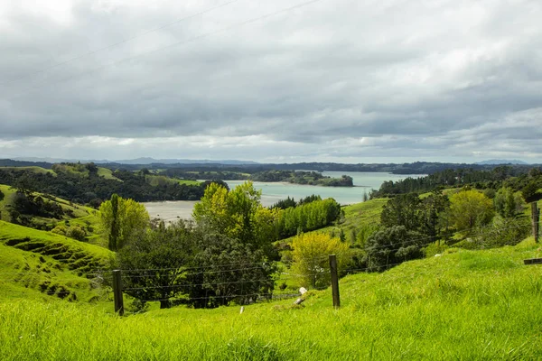 Colinas verdes da ilha do Norte da Nova Zelândia — Fotografia de Stock