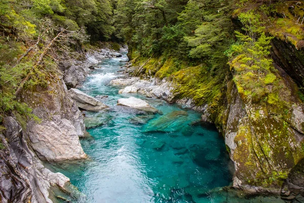 Vista de la piscina azul - el valle del río Young . — Foto de Stock