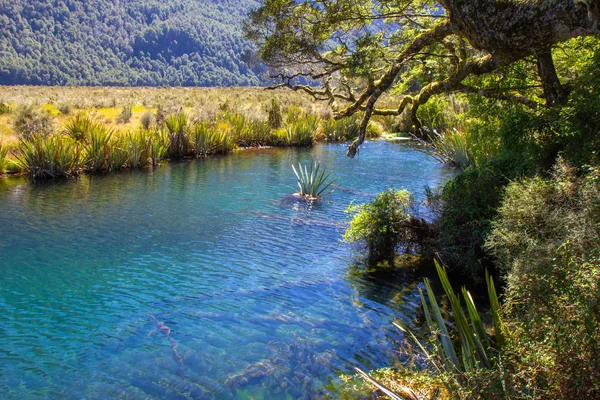 Vista sul lago Gunn nel parco nazionale di Fiordland — Foto Stock