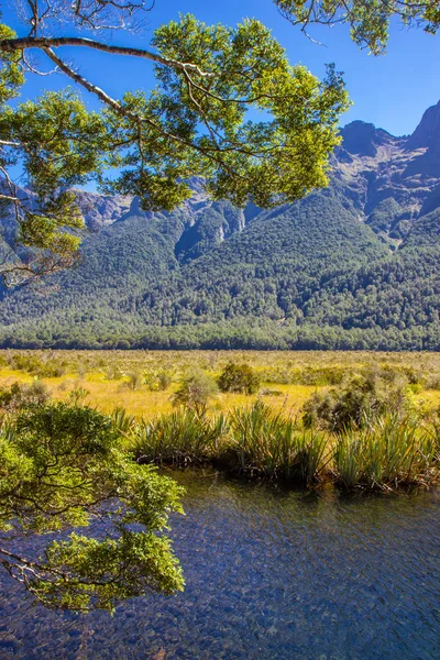 Θέα της λίμνης Gunn στο Εθνικό Πάρκο Fiordland — Φωτογραφία Αρχείου