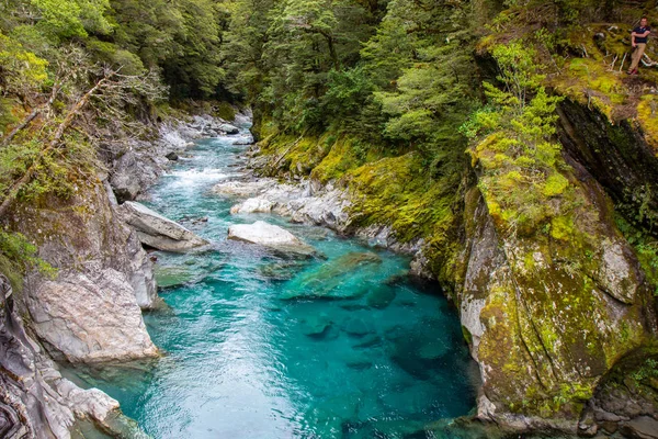 Vista de la piscina azul - el valle del río Young . — Foto de Stock