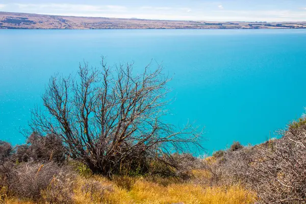 Tyrkysová voda jezera Pukaki, Nový Zéland — Stock fotografie