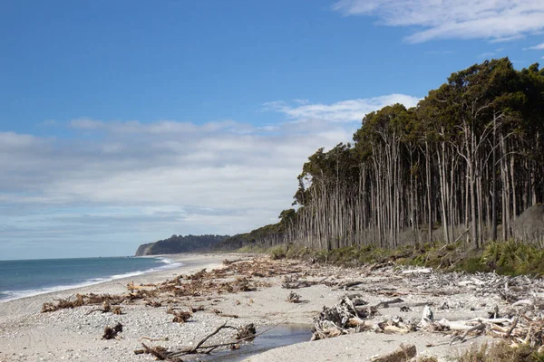 Vue de la plage de Bruce, côte ouest de la Nouvelle-Zélande — Photo