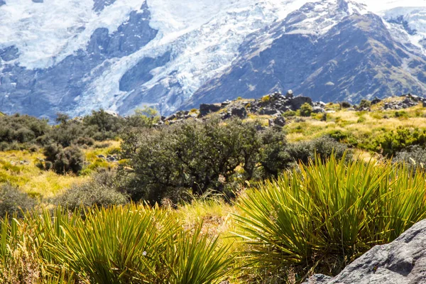 Θέα της κοιλάδας στο Εθνικό Πάρκο Mount Cook — Φωτογραφία Αρχείου