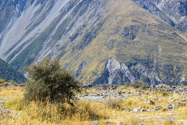 Θέα της κοιλάδας στο Εθνικό Πάρκο Mount Cook — Φωτογραφία Αρχείου