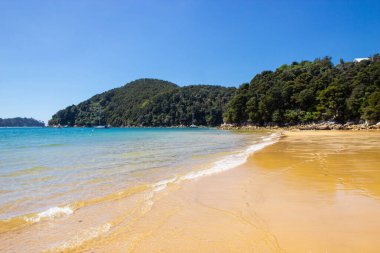 Abel Tasman Ulusal Parkı plajı, Yeni Zelanda