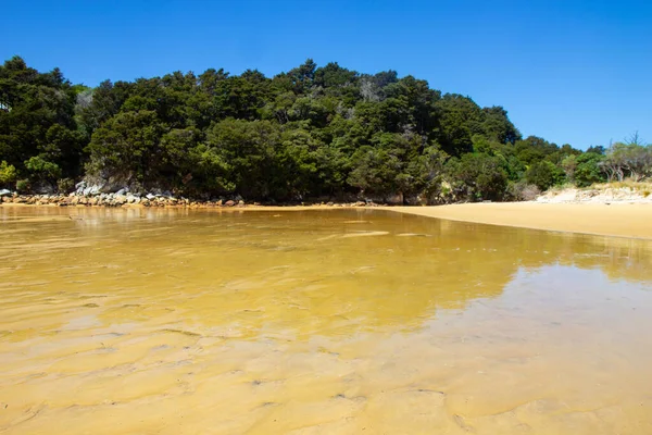 Παραλία στο εθνικό πάρκο Abel Tasman, Νέα Ζηλανδία — Φωτογραφία Αρχείου