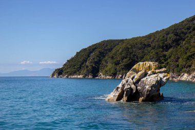 Abel Tasman Ulusal Parkı, Yeni Zelanda