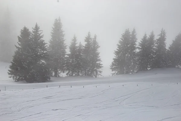 Met mist bedekte burcht van skigebied Mayrhofen — Stockfoto