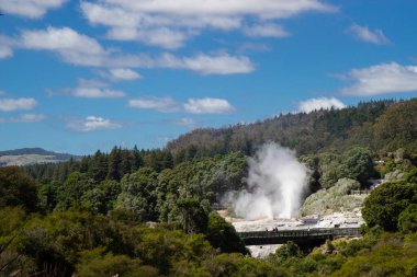 Kuzey Adası, Rotorua 'daki Te Puia parkında Geysir.