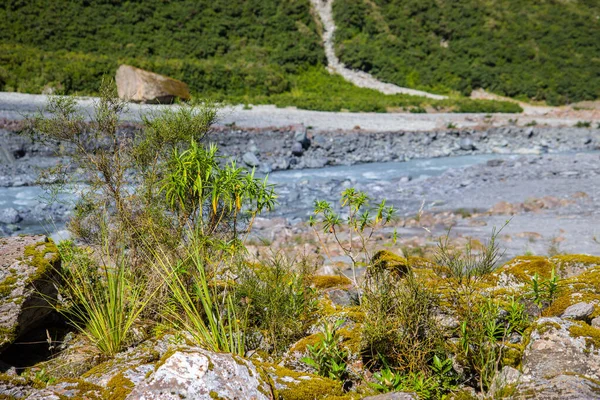 Vista do rio de água glacial derretida da geleira de Raposa — Fotografia de Stock