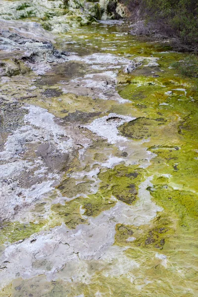 Uitzicht op geo thermaal park Waiotapu, Nieuw Zeeland — Stockfoto