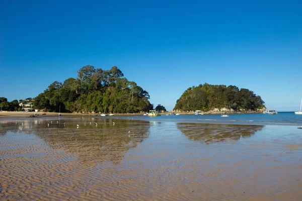 Kaiteriteri vista para a praia, parque nacional Abel Tasman — Fotografia de Stock